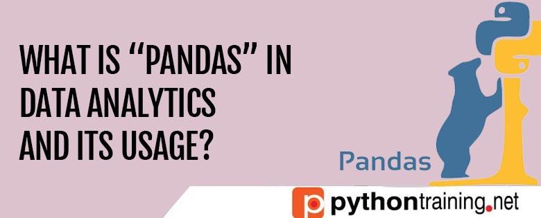 What-is-“Pandas”-in-Data-Analytics-and-its-usage
