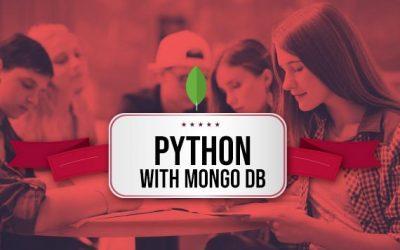 Python with MongoDB