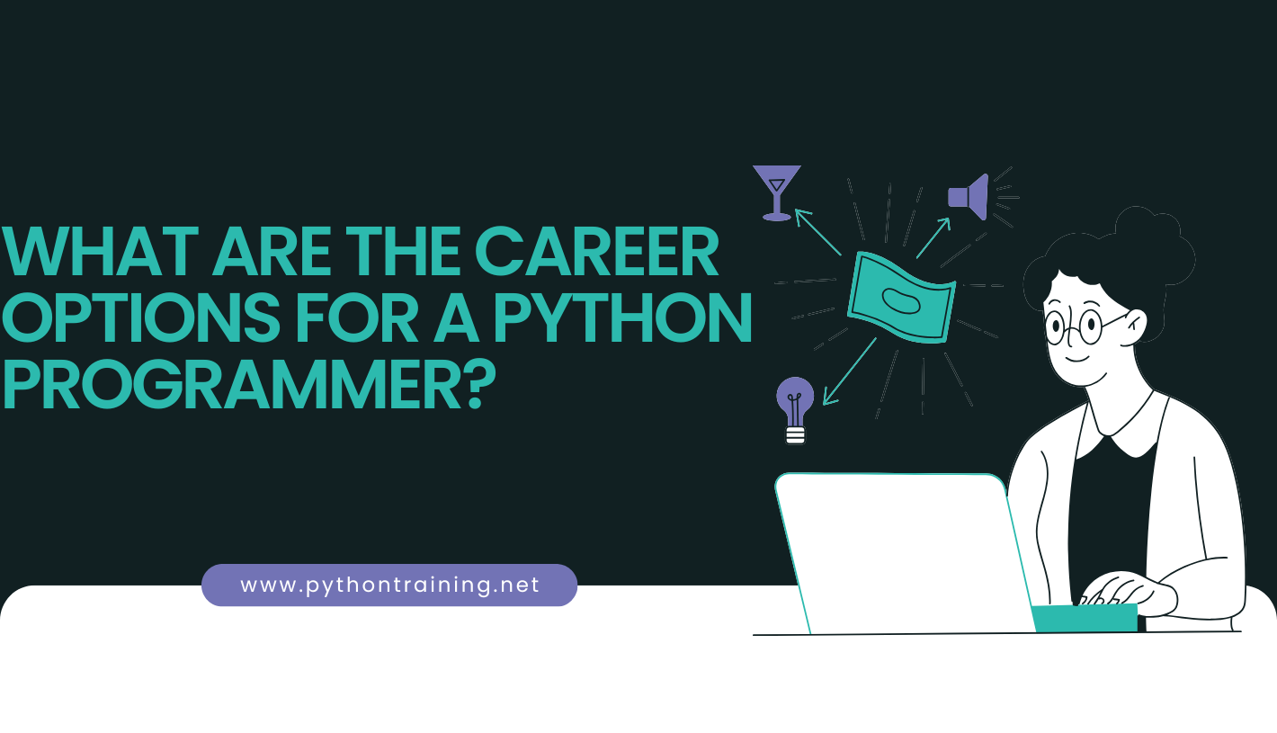 What are the career options for a Python programmer?